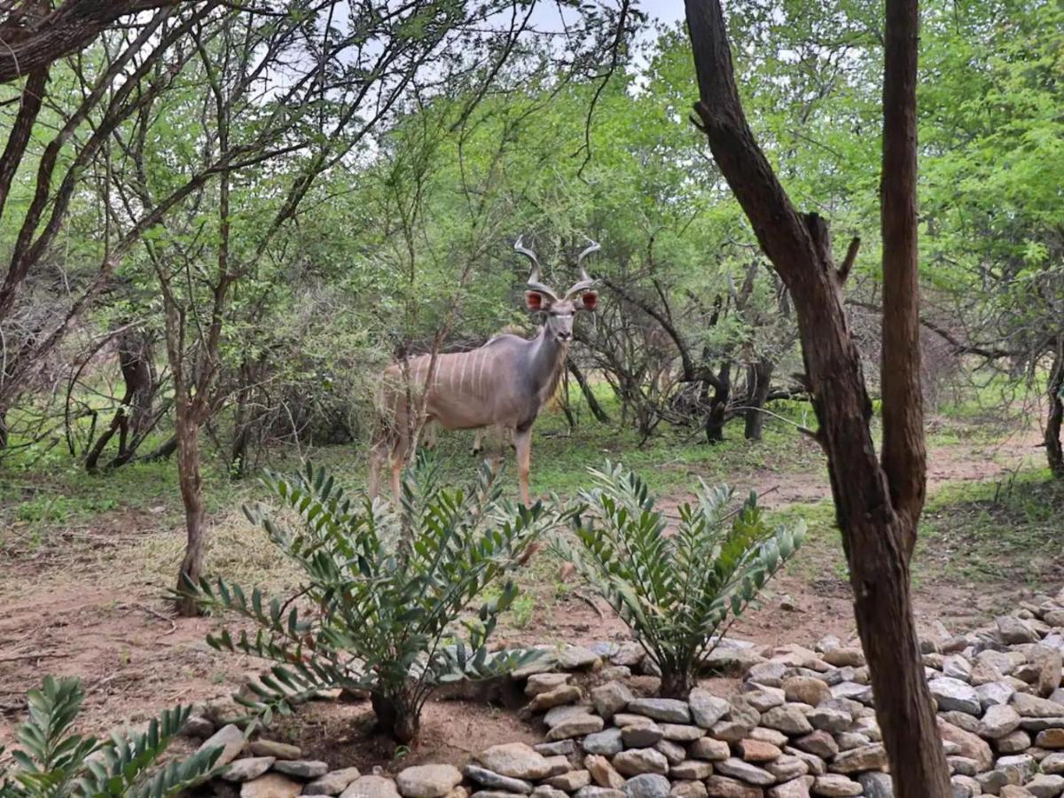 Apartament Chelesa By Kruger Nights Marloth Park Zewnętrze zdjęcie